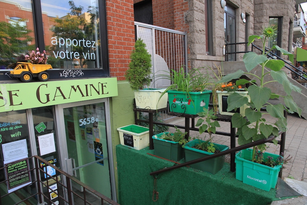 Agriculture urbaine